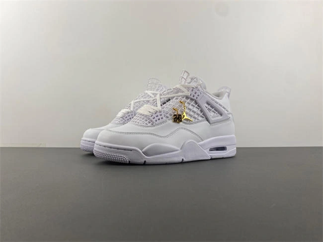WeatherProof Air Jordan 4 FV7251- 3888