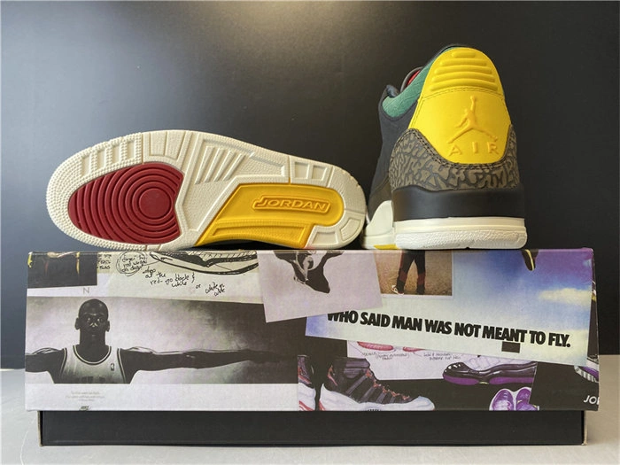 Jordan3 SE Animal Instinct CV3583- Classic 3843