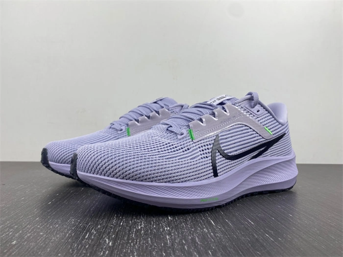 Nike Pegasus 40 DV3853- Seasonal 5311